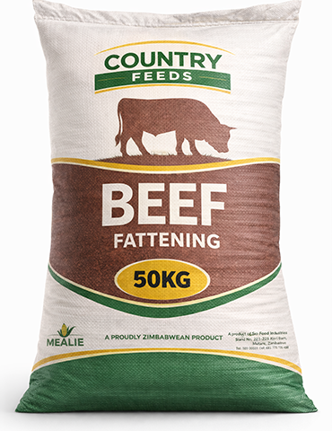 Beef Fattening