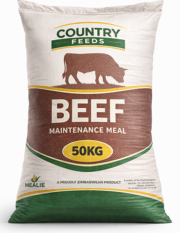 Beef Maintenance Meal